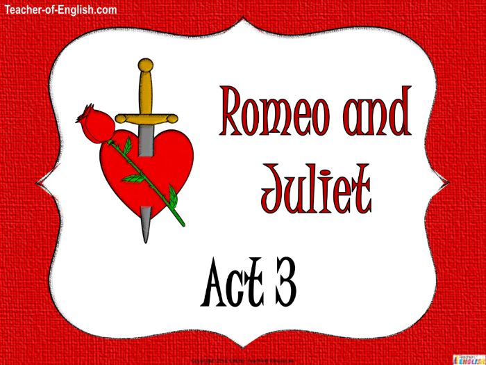 Romeo and juliet act 4 reading guide