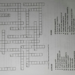 Crossword on enzymes answer key