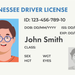 Tennessee permit test cheat sheet