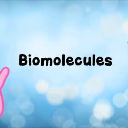 Amoeba biomolecules