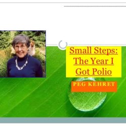 Small steps the year i got polio book