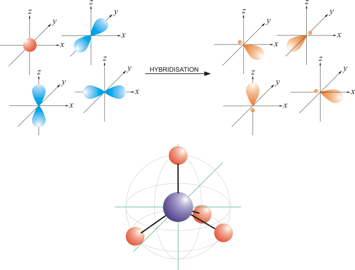 What is the orbital hybridization of the highlighted atom